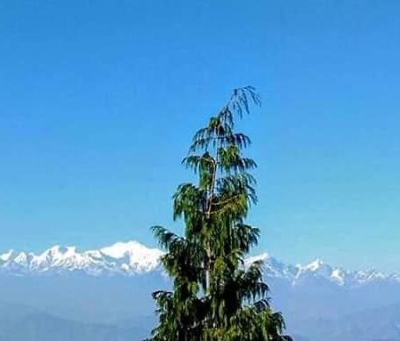 The Mountain View Apartment Darjeeling  Exterior photo