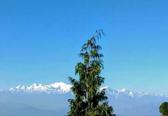 The Mountain View Apartment Darjeeling  Exterior photo
